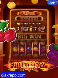 FruitNovaSuper: Uma Imersão Completa no Mundo das Frutas